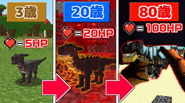 【マインクラフト】だんだん『ドラゴン』が歳をとる世界でサバイバルしたらラスボスを超えた…！？