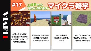 上級者でも意外と知らないマイクラ雑学　#17【雑学】