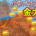 【マイクラ】金が大量⁉️激レア”メサバイオーム”を発見探索！！！ #19