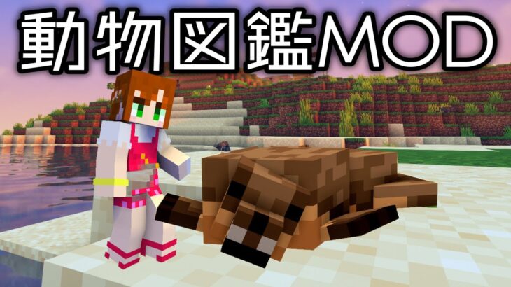 3 動物図鑑mod アシカとアザラシとオットセイの違い知ってる あかがみん 赤髪のとも Minecraft Summary マイクラ動画