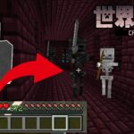 【マイクラ】手持ちゼロでウィザ助頭狩り→罰ゲーム確定【世界征服クラフト #44】【Java1.18.1】