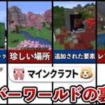 【マイクラ】オーバーワールドの小ネタ、裏設定5選