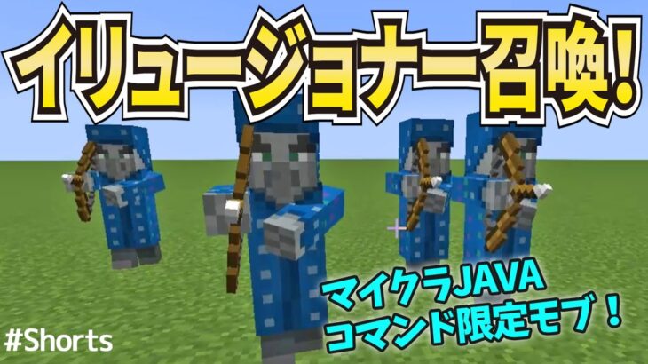 【マイクラ】イリュージョナー召喚してみた！JAVA版コマンド限定モブ！  小ネタ！ショート動画！ #Shorts