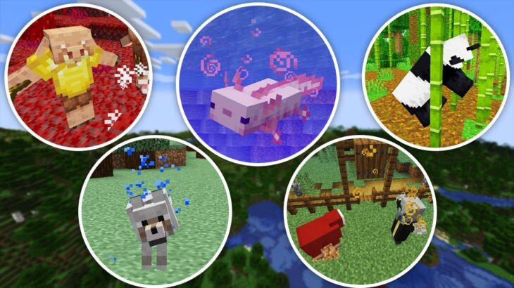 【マイクラ】MOBのレア行動5種類見るまで終われません！