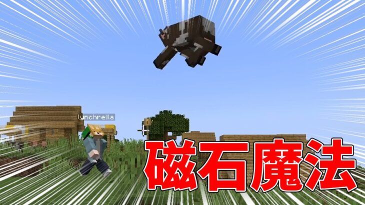 MOBを浮かす魔法のコマンド！【マイクラ】#Shorts