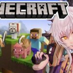 【影MOD導入】マイクラ初心者が国王になるまで #6【MINECRAFT】