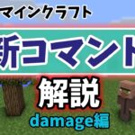 【コマンド】新コマンド damageの解説！！【マインクラフト】