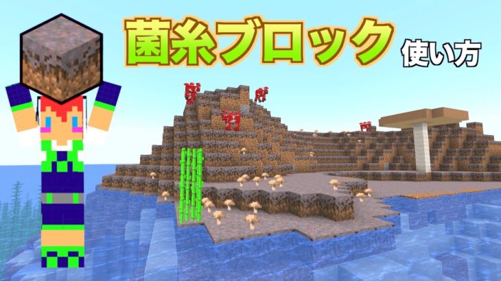 【マイクラjava版】キノコ無限に「菌糸ブロック」の使い方・入手方法＃３５「じゃじゃクラ」