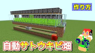 【マイクラjava版】自動サトウキビ収穫機：少しでも伸びたら即収穫！＃３９「じゃじゃクラ」