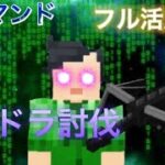 [マインクラフト][ついでにコマンド紹介]コマンドフル活用してエンドラ討伐したら…