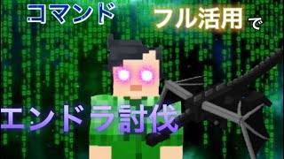 [マインクラフト][ついでにコマンド紹介]コマンドフル活用してエンドラ討伐したら…