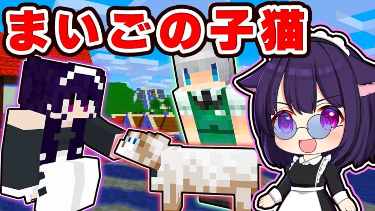 🍁【マイクラ】猫耳メイドになって迷子の子猫探しをした結果！🐱💕【ゆっくり実況】【マインクラフト】【まいくら】