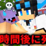 【マイクラ】死ぬ病気になった赤ちゃんを助けられるのか【マインクラフト】