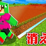 歩いた場所が消えるマインクラフト【まいくら・マインクラフト】