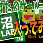 【マイクラ】かめすたが運営してるサーバーに勝手に入ってみたwww-マインクラフト【Minecraft】