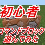 マインクラフト～コマンドブロックで遊んでみた～ちびカラス＃14～mobになってみた