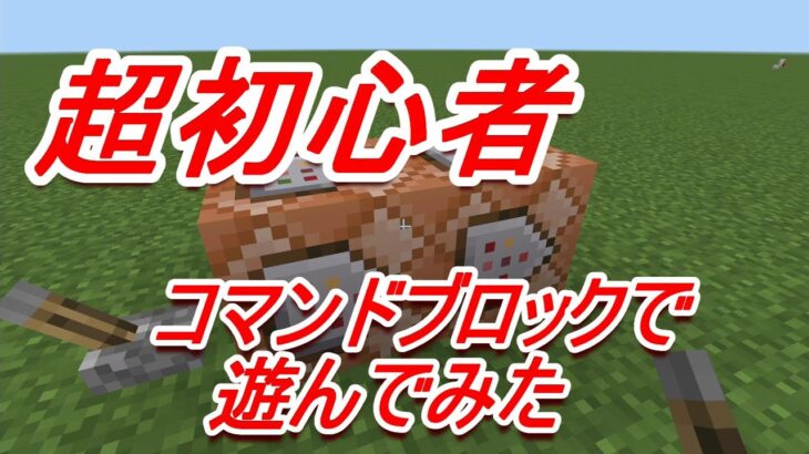 マインクラフト～コマンドブロックで遊んでみた～ちびカラス＃14～mobになってみた