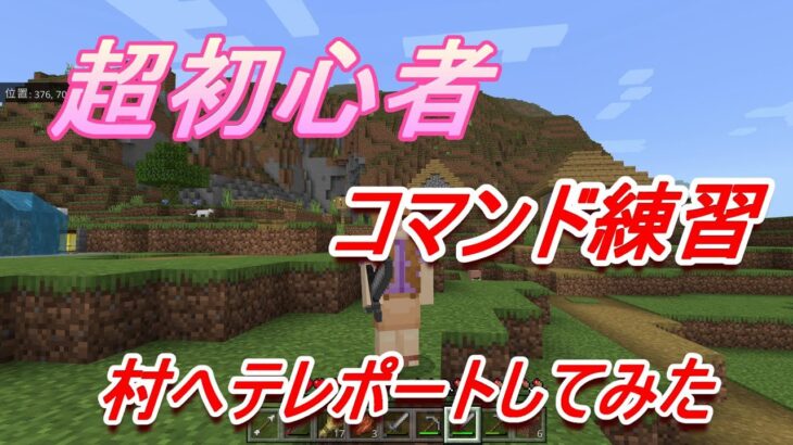 マインクラフト～コマンド練習～村へテレポートしてみた～ちびカラス＃16～