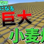 世界2位の作業厨になるpart8超巨大な収穫機能付き小麦畑を作ってきた【マイクラ】