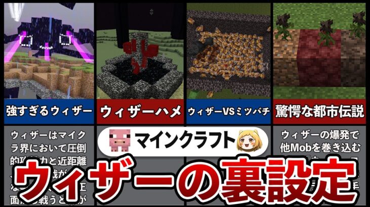 【マイクラ】ウィザーの小ネタ・裏設定5選