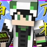 【Electroblob’s Wizardry】黄昏の世界に魔法が追加される！最強のアドオンがはこれだ！！！【マイクラ実況】