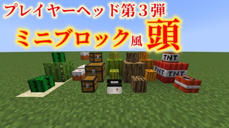 【Minecraft】ミニブロックの頭を出す方法【コマンド】