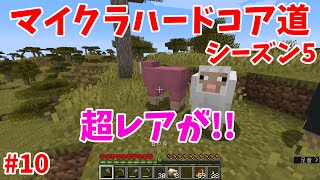 【Minecraft】マイクラハードコア道【マインクラフト】#10