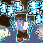 おしゃれな家の素材集め!!雪原でまさかの大発見!?海でマイクラ実況Part4【マインクラフト】