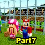 【ゲーム遊び】Part7 自動サトウキビ回収機 マリオのサバイバルでマイクラ【アナケナ&カルちゃん】Minecraft