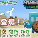 【統合版マイクラ】アレイ ～allay～ 登場！今後のアップデート情報 Beta&Preview版 ver.1.18.30.22【PE/Xbox/Win10/iOS 対応】