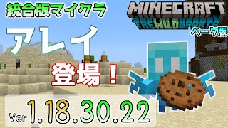 【統合版マイクラ】アレイ ～allay～ 登場！今後のアップデート情報 Beta&Preview版 ver.1.18.30.22【PE/Xbox/Win10/iOS 対応】