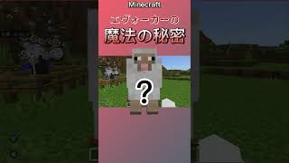 【検証】エヴォーカーの魔法の秘密 #マイクラ #minecraft