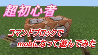 マインクラフト～コマンドブロックでmobになって遊んでみた前回の続き～ちびカラス＃15～ちょびっと解説つき