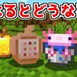 【マイクラ】改造されたリンゴを食べてみた結果？【ゆっくり実況】【マインクラフト】【まいくら】