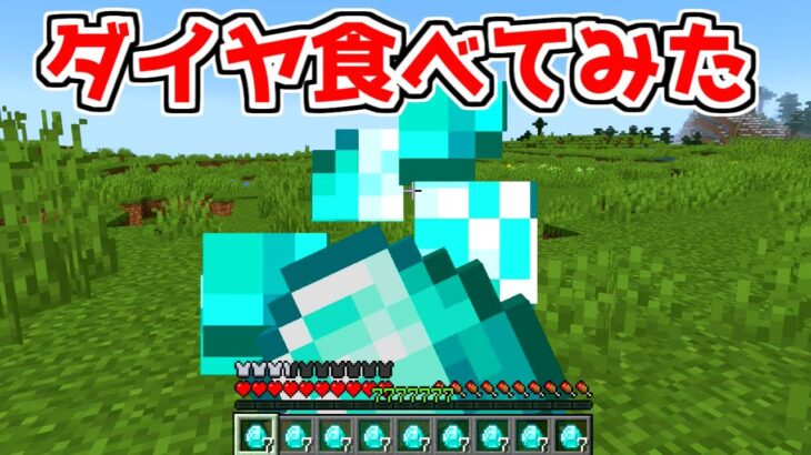 【マイクラ】なんでも食べられるマインクラフト【ゆっくり実況】【まいくら】