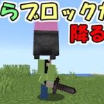 【マインクラフト】空から大量のブロックが降ってくる世界でエンドラ討伐チャレンジしてみた【マイクラ】【面白データパック】