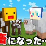 【幸せな家畜生活…だった…⁉️】マイクラでヒツジとウシとウマとして生きるサバイバル生活は大変だった😱恐怖の村人が居る農場から脱獄しようとした結果！？【まいくら マインクラフト】ぽっぴんず