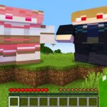 いっぱい食べて、どんどん太るマインクラフト