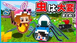 虫や動物になって生活してみたら大変だった！？🐜🐔💦【総集編＃１】【 マイクラ / まいくら 】