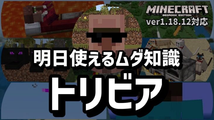 【意外と知らない】マイクラ厳選トリビア集【マイクラ統合版】【ゆっくり実況】