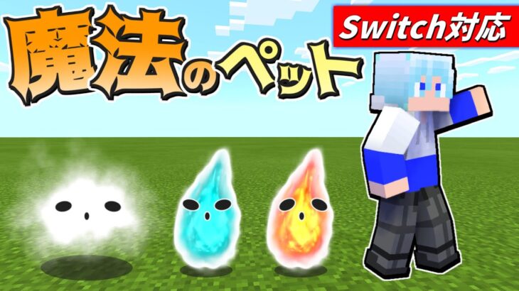 【スイッチ対応】超かわいい!!魔法のペットが新しすぎたｗｗｗ【マイクラコマンド】【マイクラコマンド魔法】