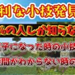 【マイクラ】便利な小技発見‼たぶん1％の人しか知らない