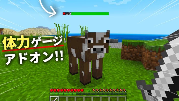 1.18対応【マイクラ統合版】mobや敵の残り体力が分かる！サバイバルで役立つ便利なアドオン紹介！【PE/Win10】ver1.18