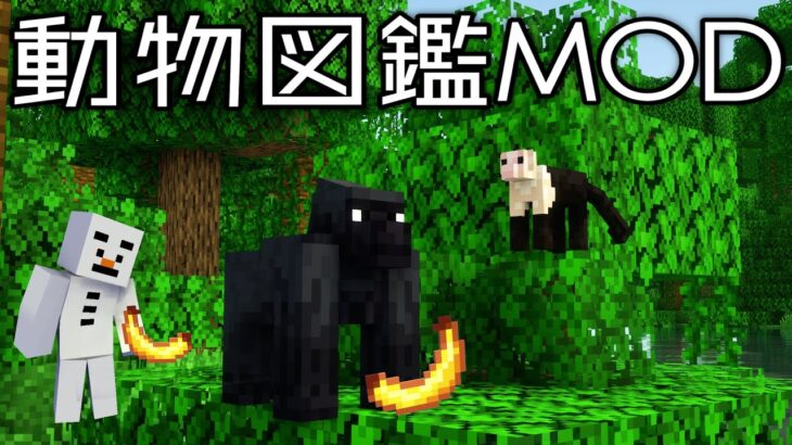 13 動物図鑑mod 生命の宝庫ジャングルで大冒険 あかがみん 赤髪のとも Minecraft Summary マイクラ動画