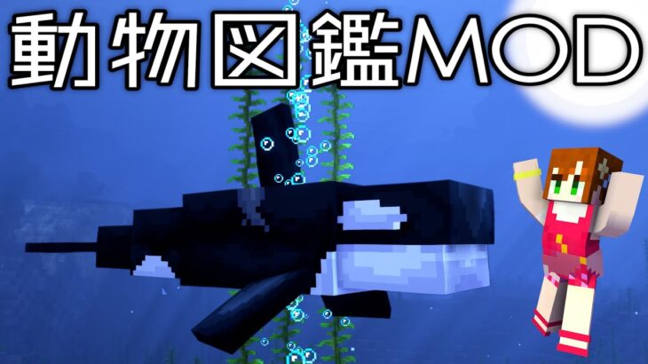 #17【動物図鑑MOD】ついに水族館建築始まるッ!!【あかがみん/赤髪のとも】