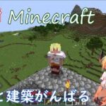 #9【#角鯖 #Minecraft】建築センス0！？掘っ建て小屋脱出 マインクラフト 【#シィナ】