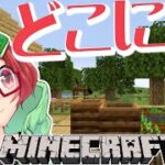 【Minecraft】ブロックに変身したい！【コマンド】