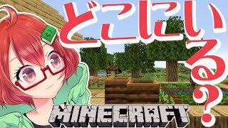 【Minecraft】ブロックに変身したい！【コマンド】