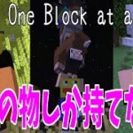 【マイクラ】物を一つしか持てない世界でサバイバルしたらヤバすぎた!!-マインクラフト【Minecraft】【Snapshot 22w13 One Block at a Time!(エイプリルフール)】