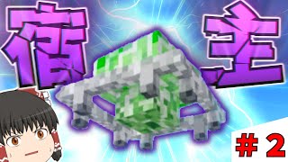 【Minecraft】謎の浮遊生命体VS初級魔法！？　魔法冒険譚＃2